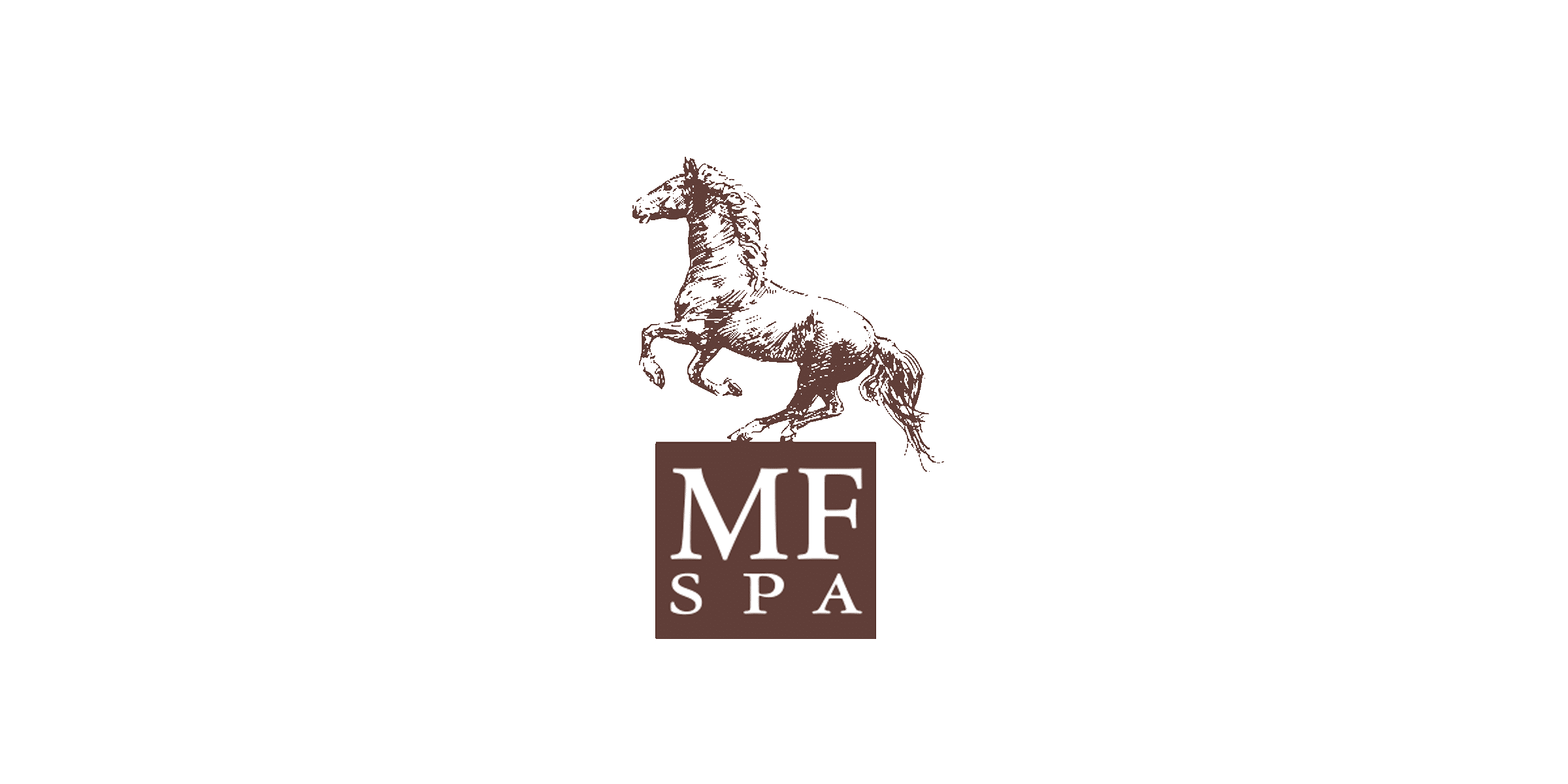 Leodari Creative Portfolio Cliente: MF SPA