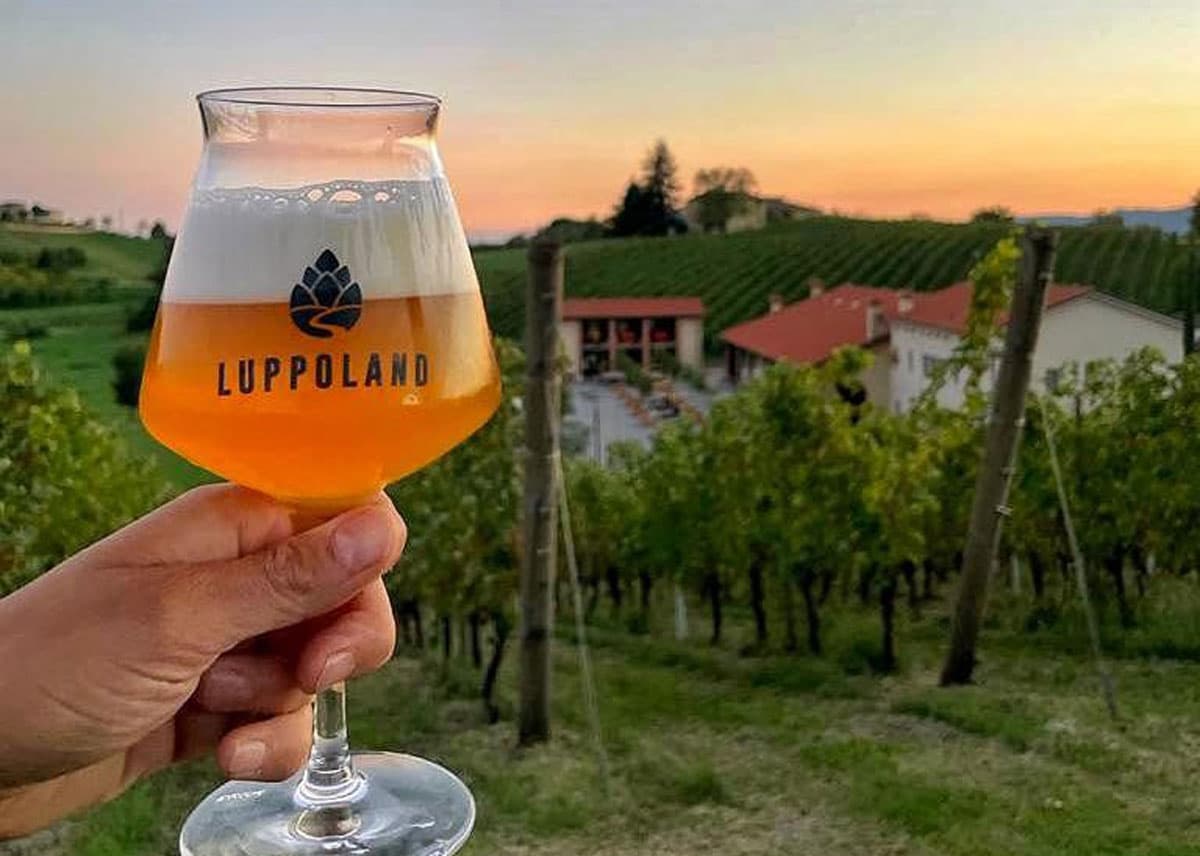 Luppoland: Il Paradiso per gli Amanti della Birra Artigianale