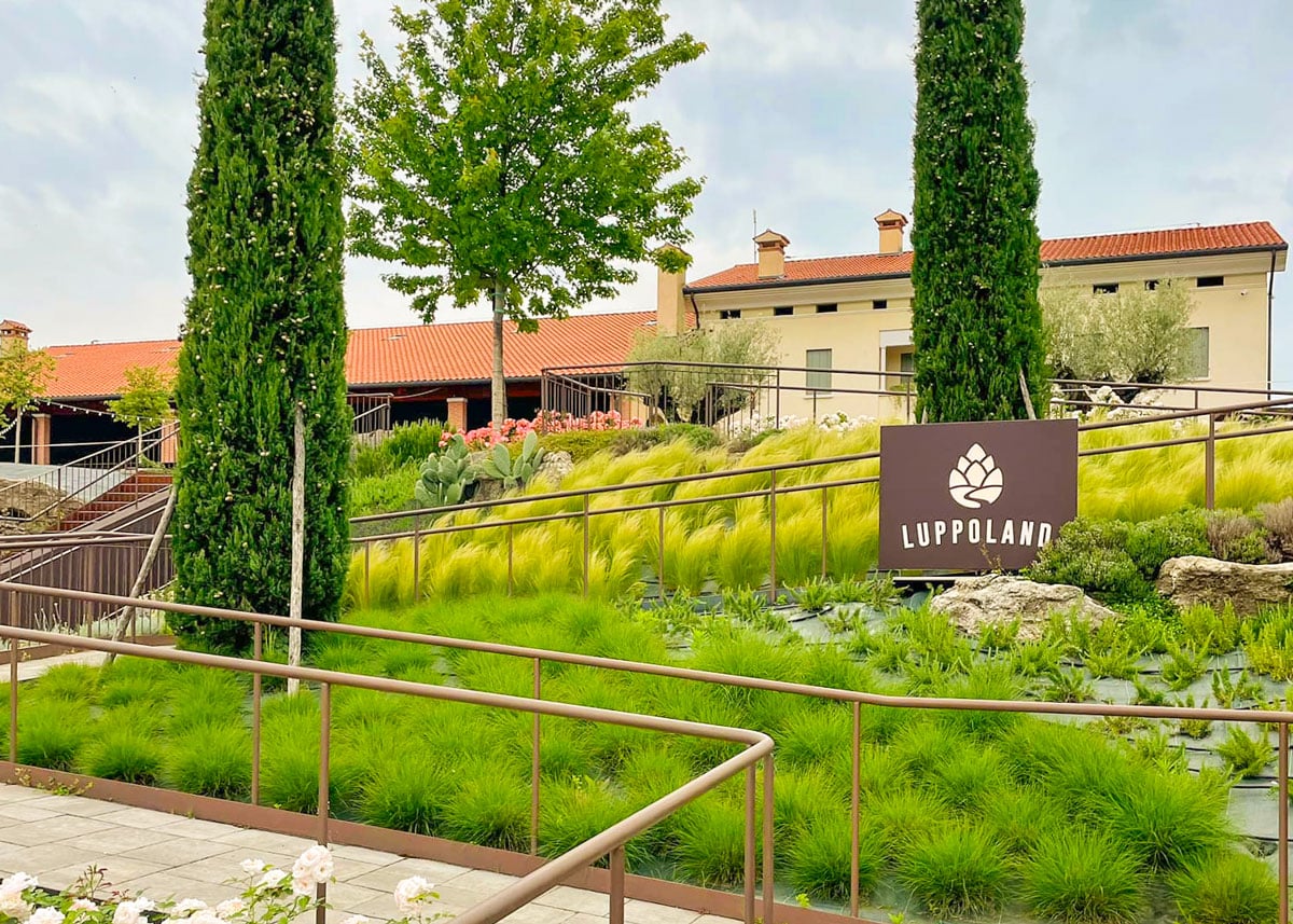 Luppoland: Il Paradiso per gli Amanti della Birra Artigianale